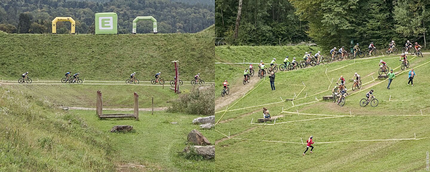 Höllbacharena