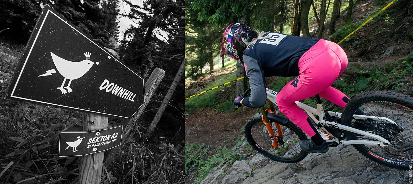 Downhill Pink